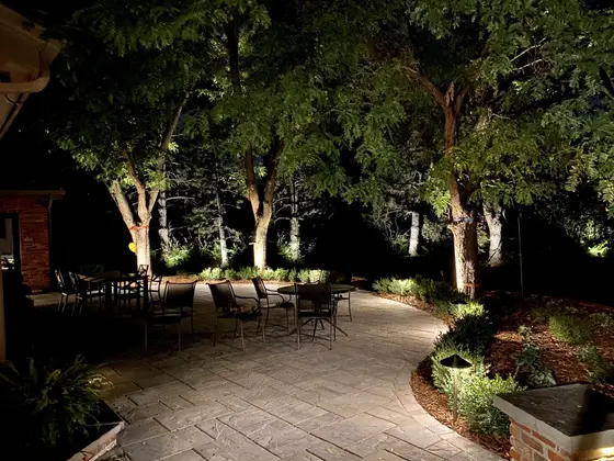 Completed landscape work, 2020