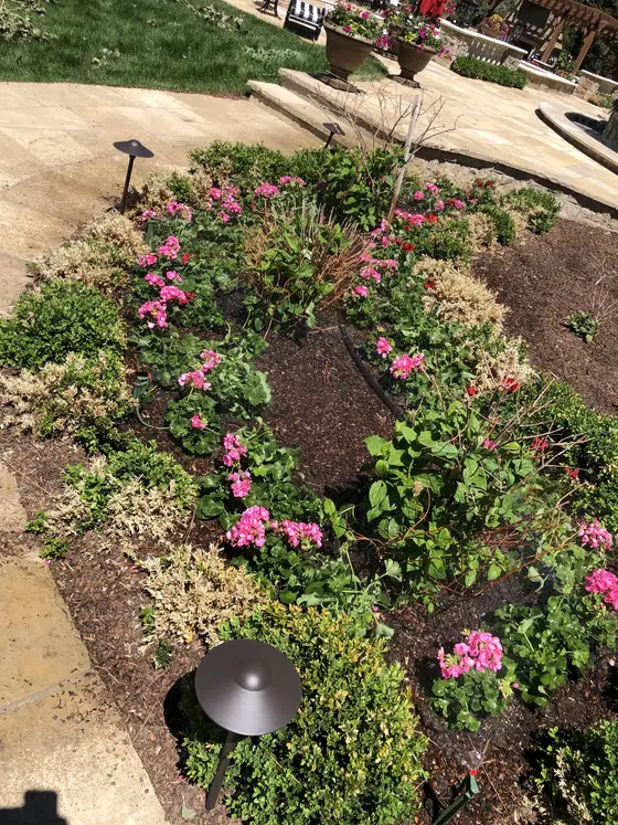 Completed landscape work, 2020