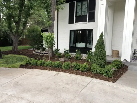 Completed landscape work, 2020