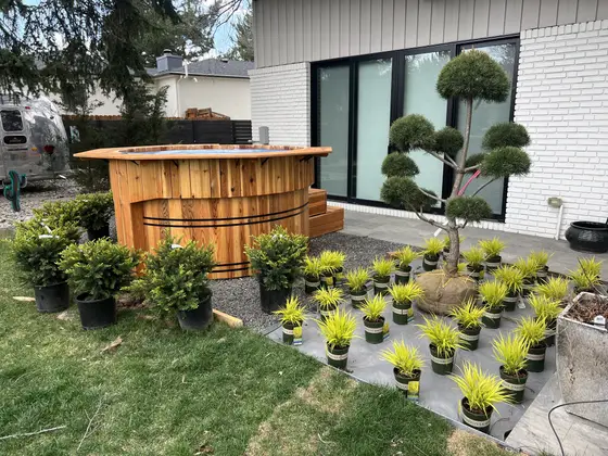 Completed landscape work, 2024