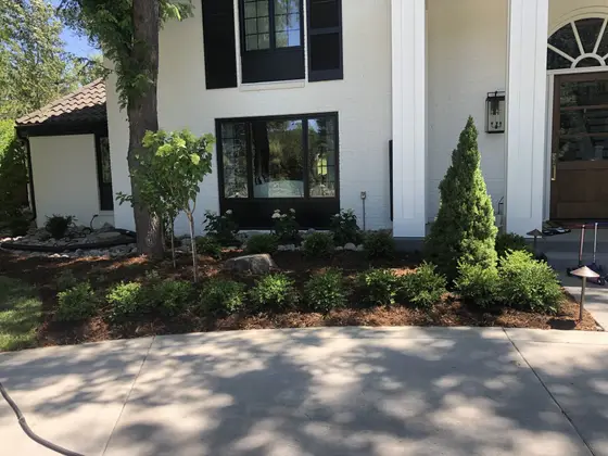 Completed landscape work, 2020