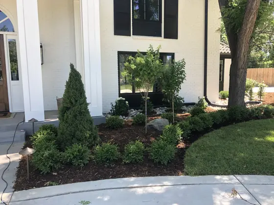 Completed landscape work, 2020
