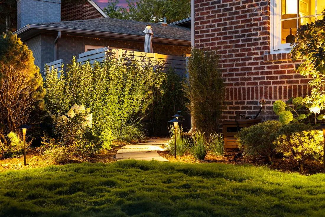 Landscape lighting washing shrub planting after dark